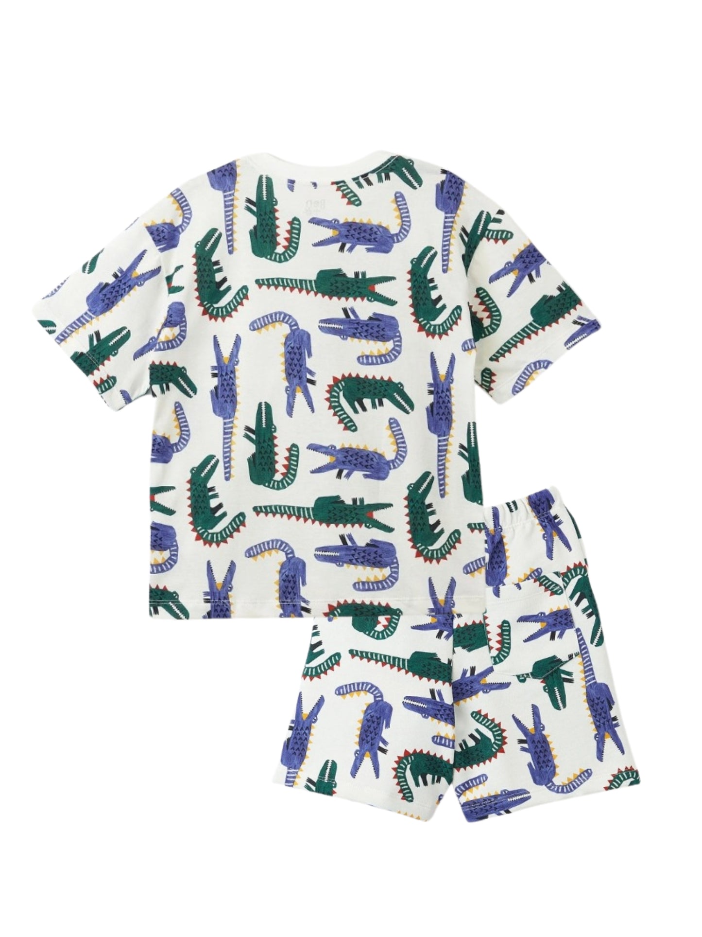 White Reptile Printed Clothing Co-ord Set For Boys