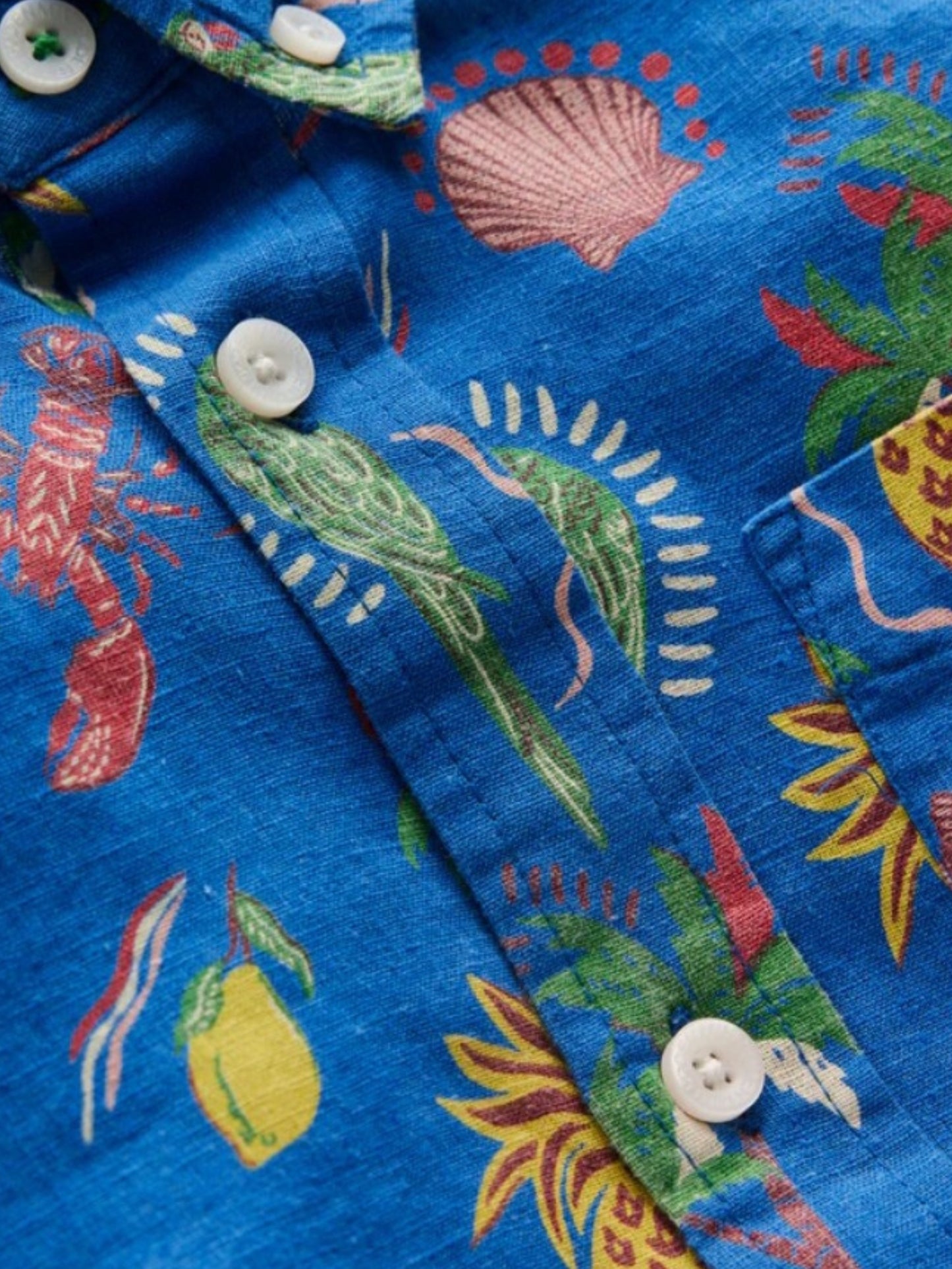 Boys Blue Pineapple Printed Cotton Blend Casual wear Comfortable Shirt