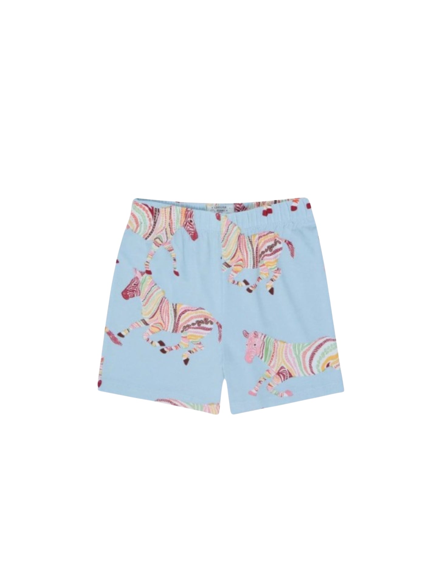 Multicolor Zebra Printed Clothing Co-ord Set For Boys